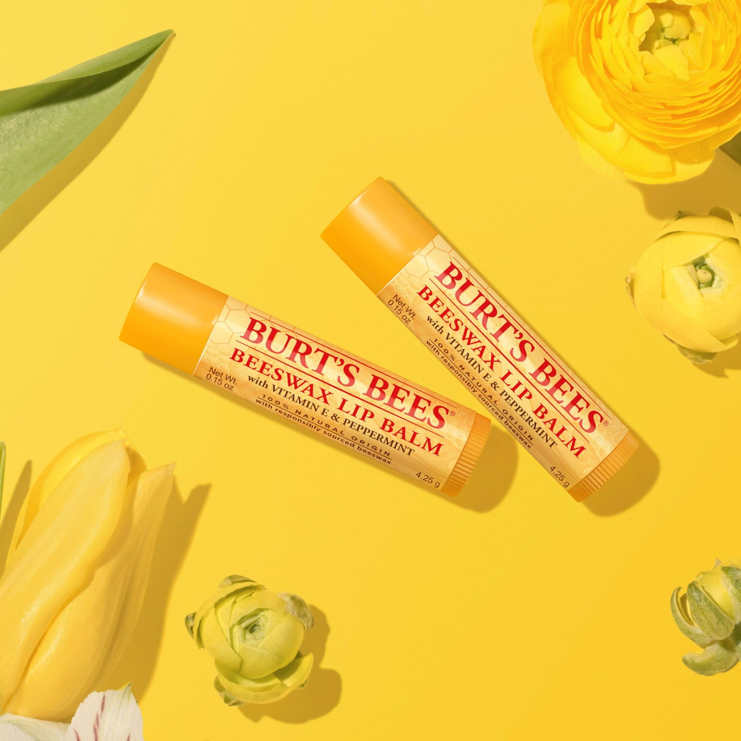 Burt's Bees Lip Balm - Original Beeswax 12 Count Pack in Bulk, Lip Moisturizer With Responsibly Sourced Beeswax, Tint-Free, Natural Origin Conditioning Treatment, 12 Tubes, 0.15 oz