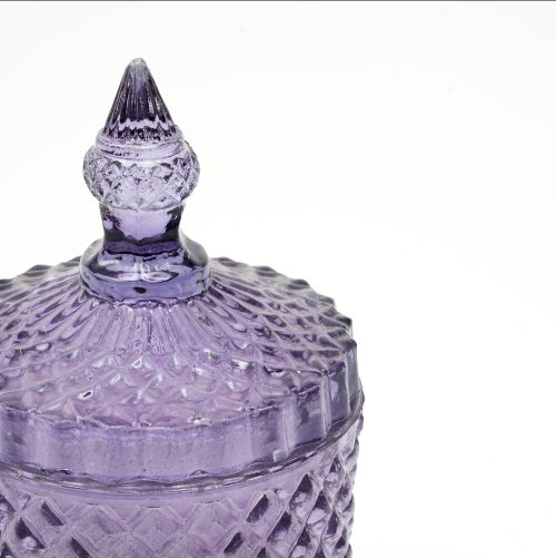 Plush Radiance Scented Wax Candle