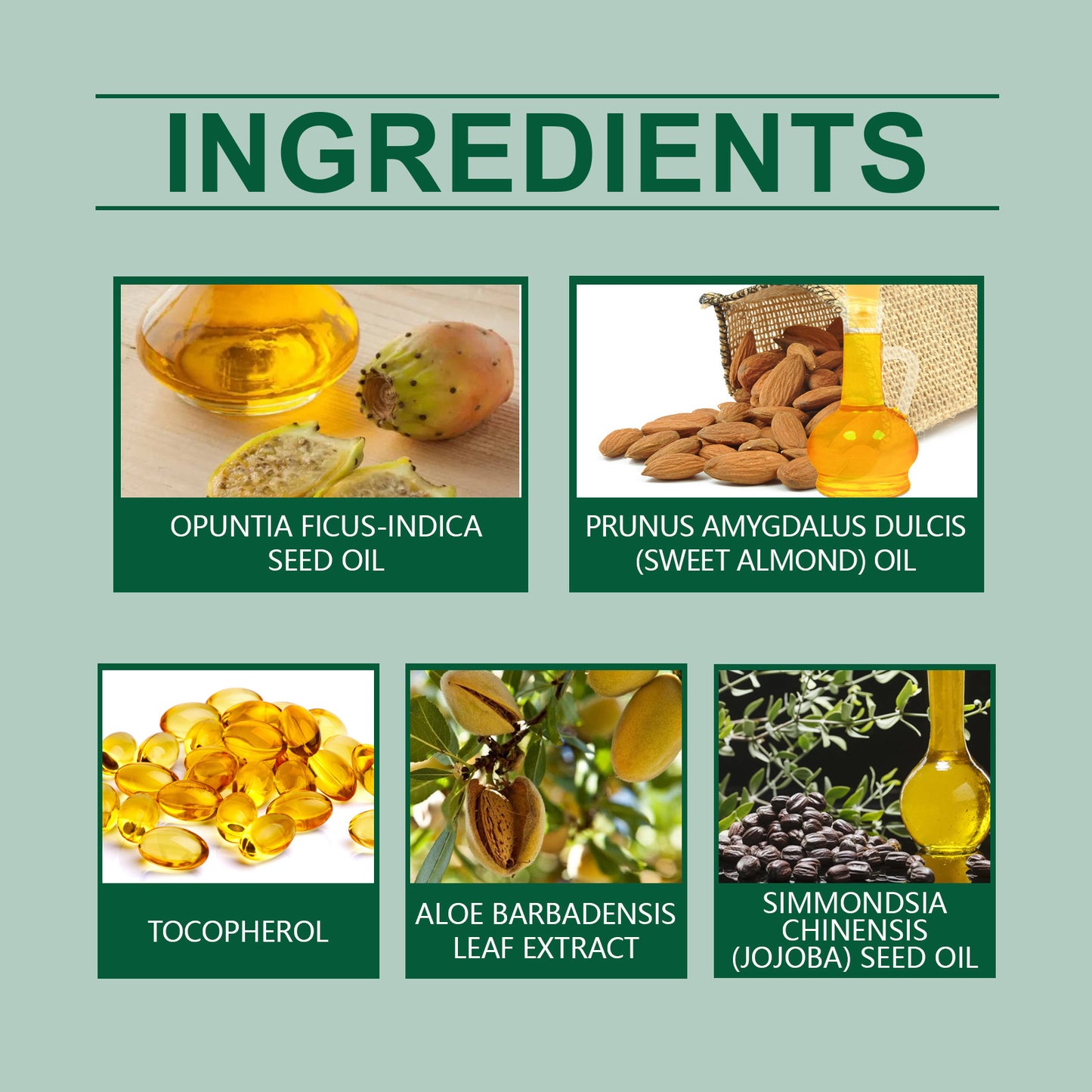 Cactus Daily Hair Gentle Moisturizing Whole Body Skin Plant Body Care Massage Essential Oil