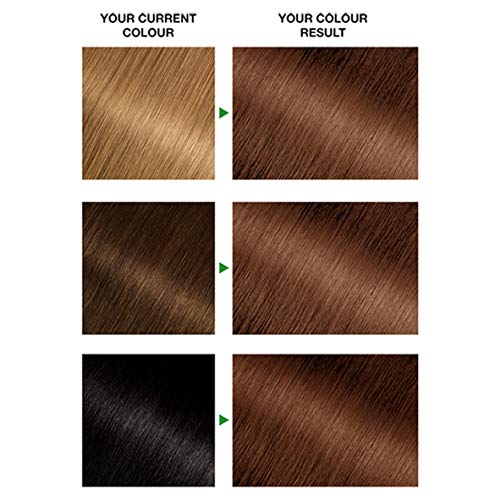 Garnier Nutrisse 6.23 Rose Gold Brown Permanent Hair Dye