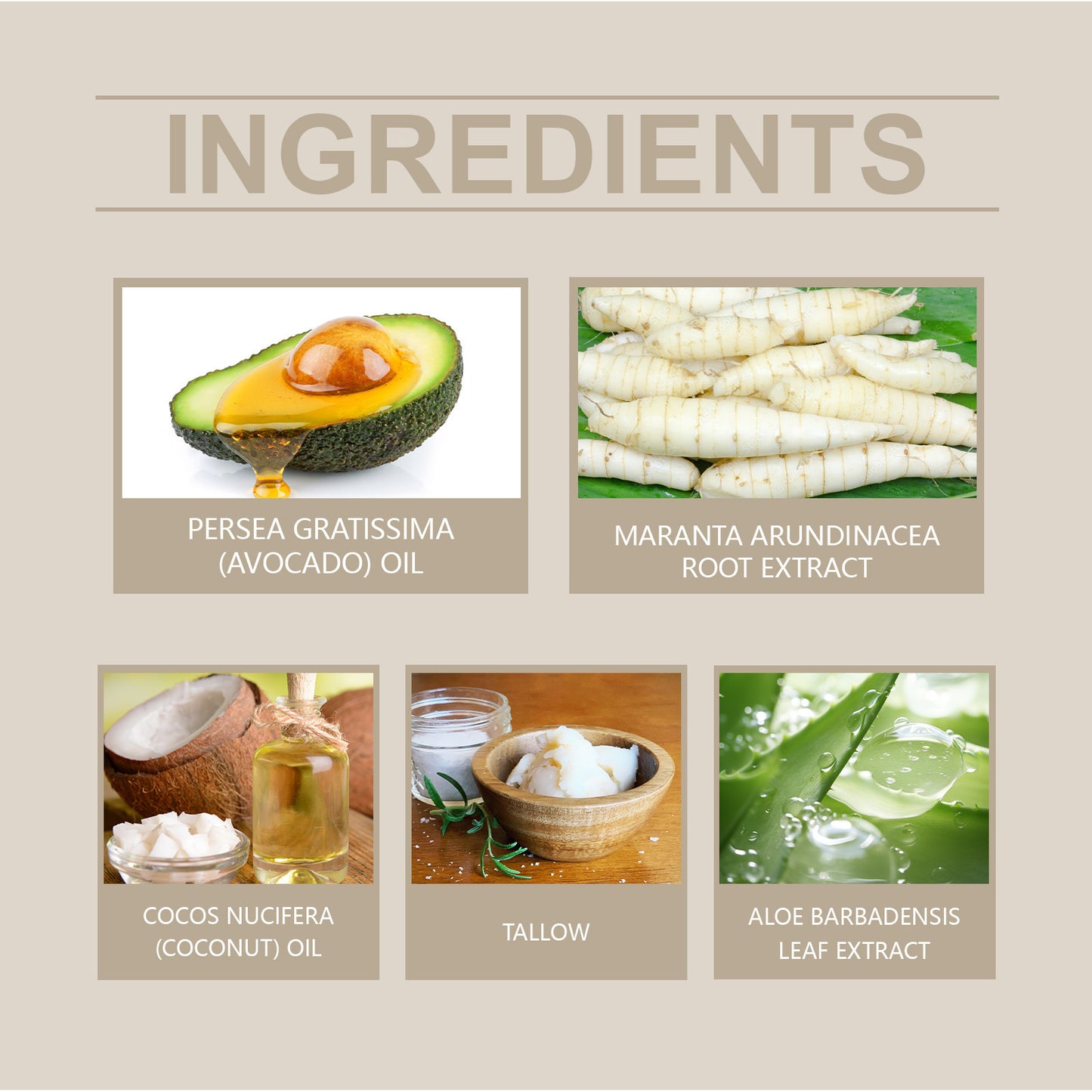 Moisturizing Mild Hydrating Light Lines Moisturizing Soothing Skin Care Body Cream